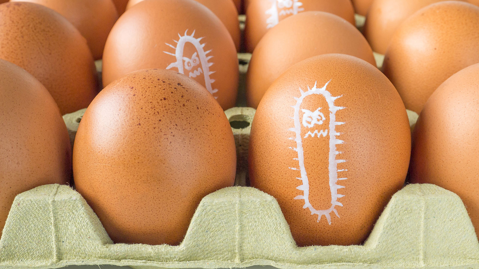 consumir-huevos-sin-salmonela